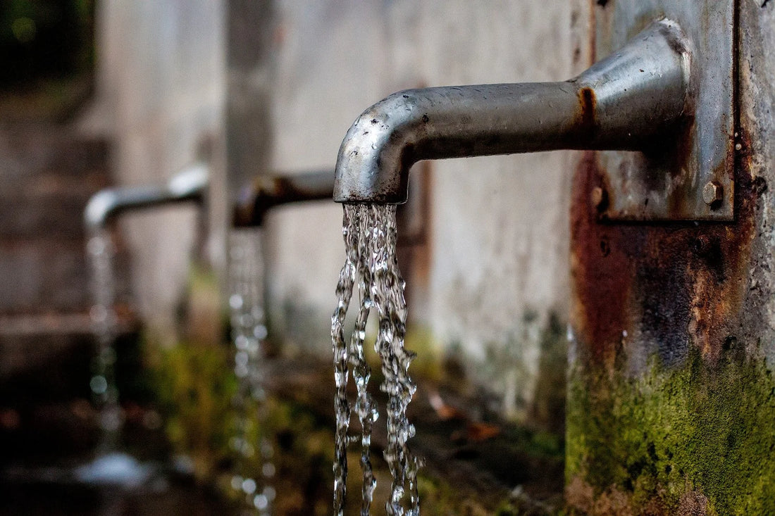 Unlocking the Longevity Secrets of Hard Magnesium-Rich Water